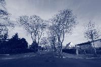 Preussenstrasse-2013-02-05-Mono-Blue-sc.JPG