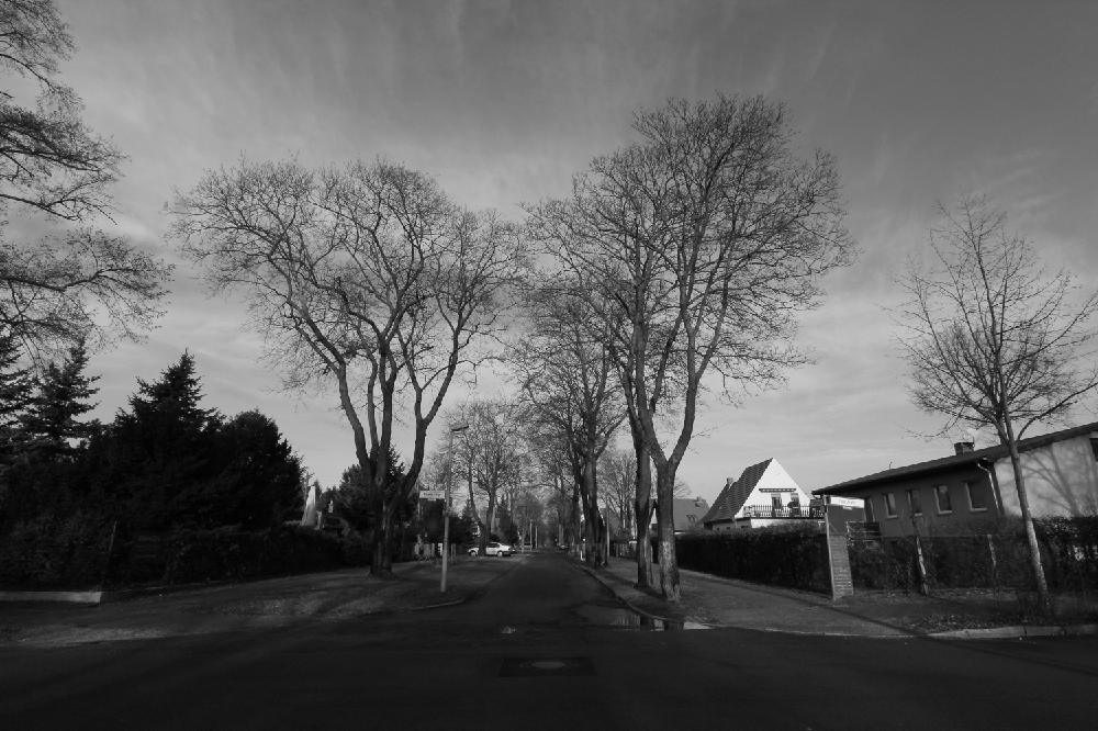 Preussenstrasse-2013-02-05-Mono-White-sc.JPG