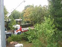 The trees are in the way. IMG_0089.JPG