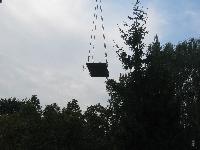 Note the branch of basswood tree dangling from the plate. IMG_0093.JPG