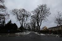Preussenstrasse-2012-12-04-C-sc.JPG