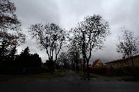 Preussenstrasse-bleary day-C-sc.JPG