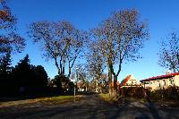 PreussestrasseNoon-2012-11-26-A-sc.JPG