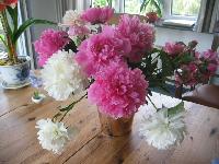 Barbara took this, and it shows the vase from a better view. 2007-05-28-58.jpg